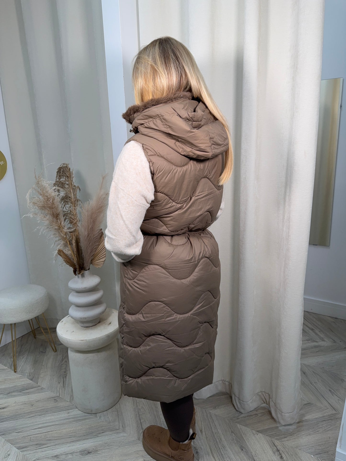 Gladia Gillet - Hazlenut