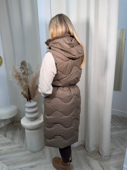 Gladia Gillet - Hazlenut